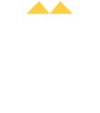 Chess tournaments, rewards and global leaderboards